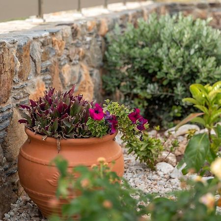Pink Sand Villas Agios Pandeleimon  エクステリア 写真