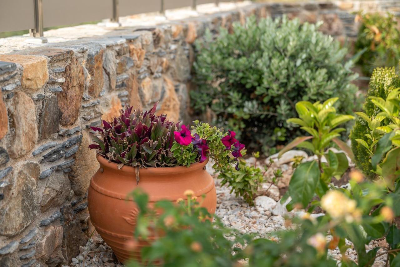 Pink Sand Villas Agios Pandeleimon  エクステリア 写真